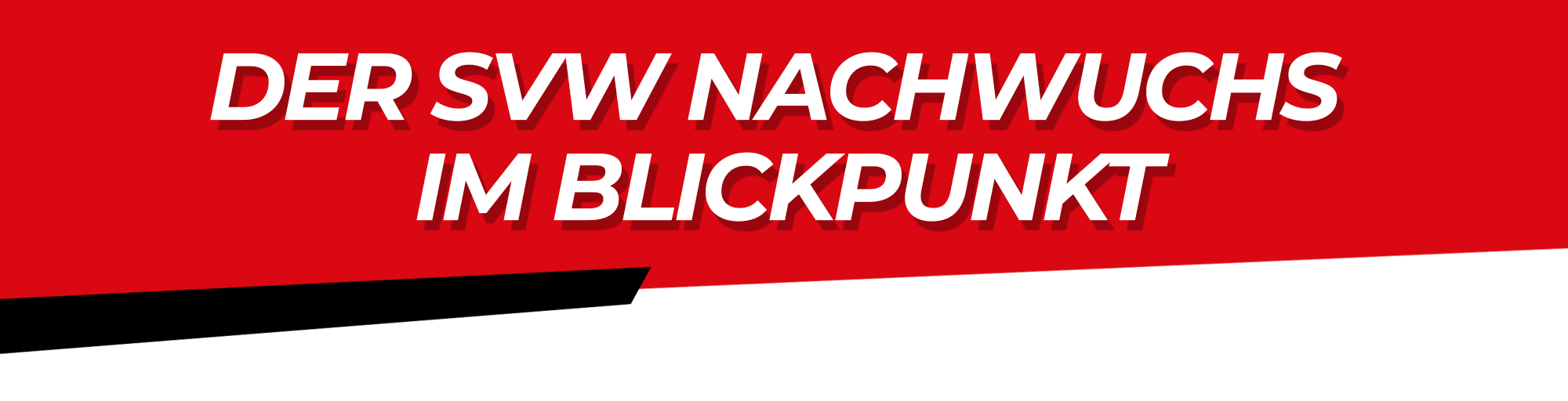 HP - Nachwuchs